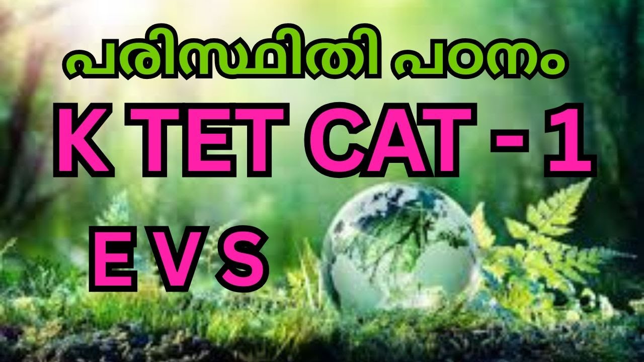 K tet Category 1 | EVS | Important notes 2026