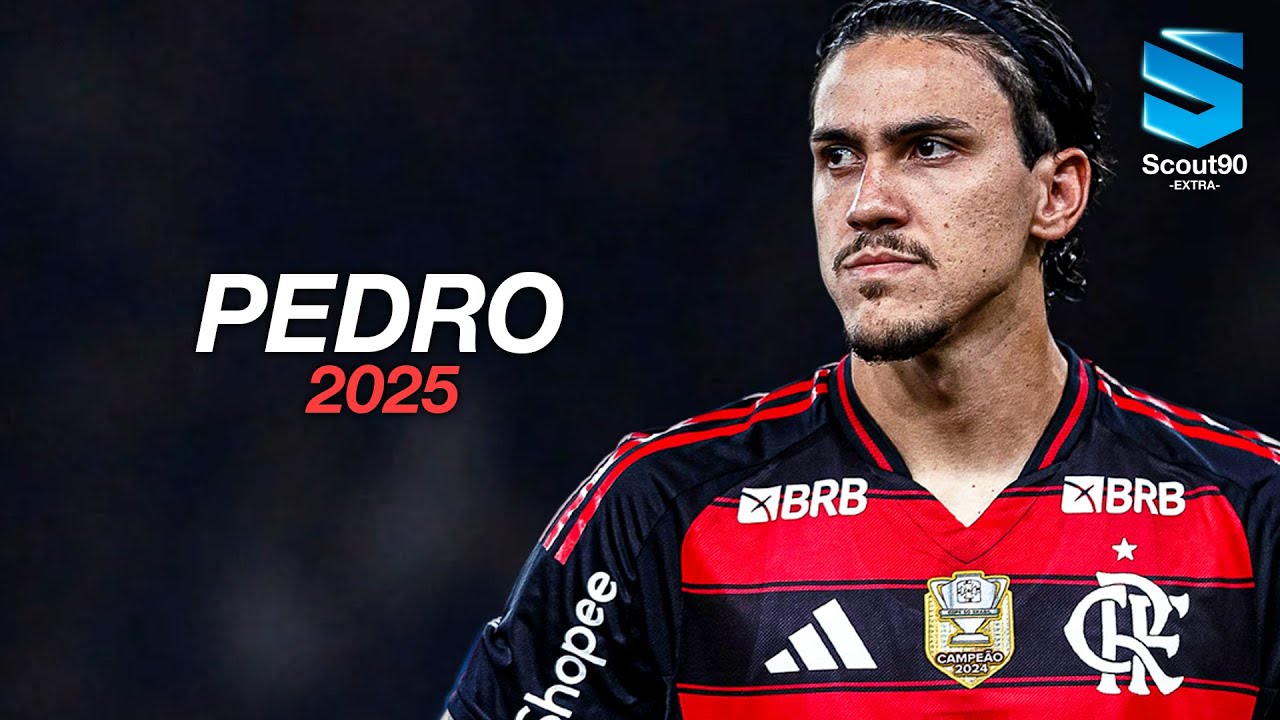 Pedro 2025 ► Flamengo - Amazing Skills, Assists & Goals | HD