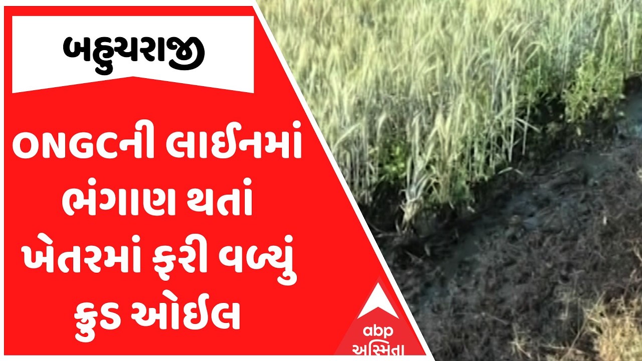 ONGC Line Break | બહુચરાજીમાં ONGCની લાઈનમાં ભંગાણ થતાં ખેતરમાં ફરી વળ્યું ક્રુડ ઓઇલ