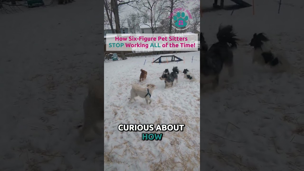 HOW SIX-FIGURE PET SITTERS STOP WORKING ALL OF THE TIME! | EPISODE 3