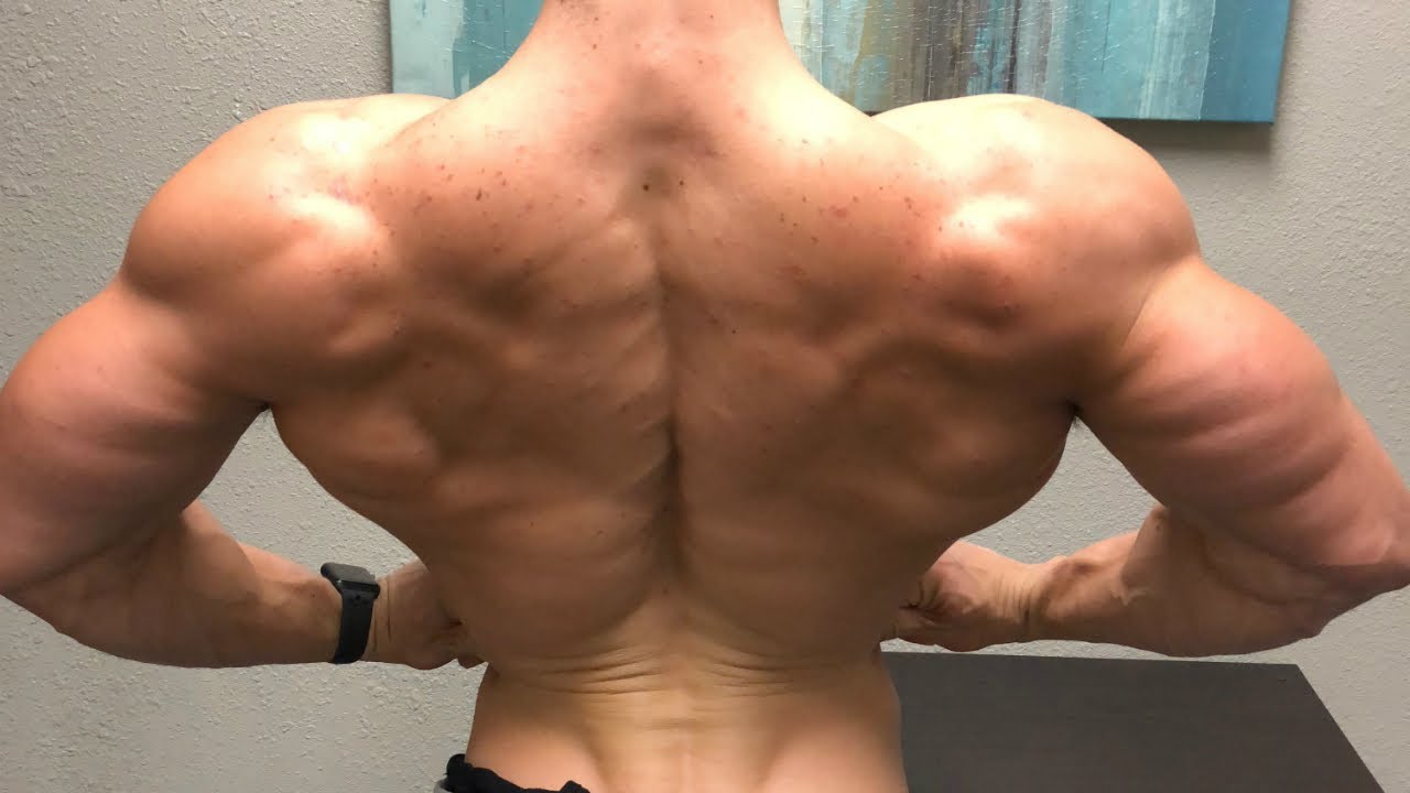 Back Workout For WIDTH