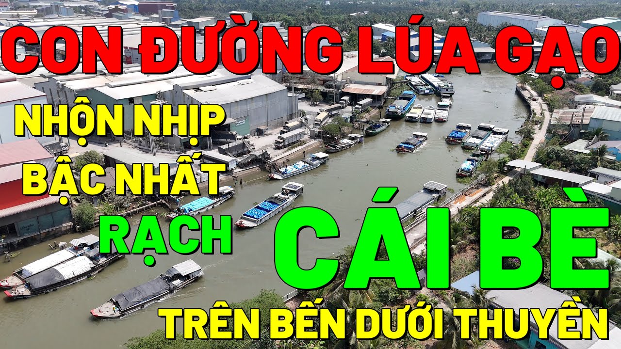 CON ĐƯỜNG LÚA GẠO CÁI BÈ, GIAO THÔNG ĐÔNG BẬC NHẤT PHƯƠNG NAM