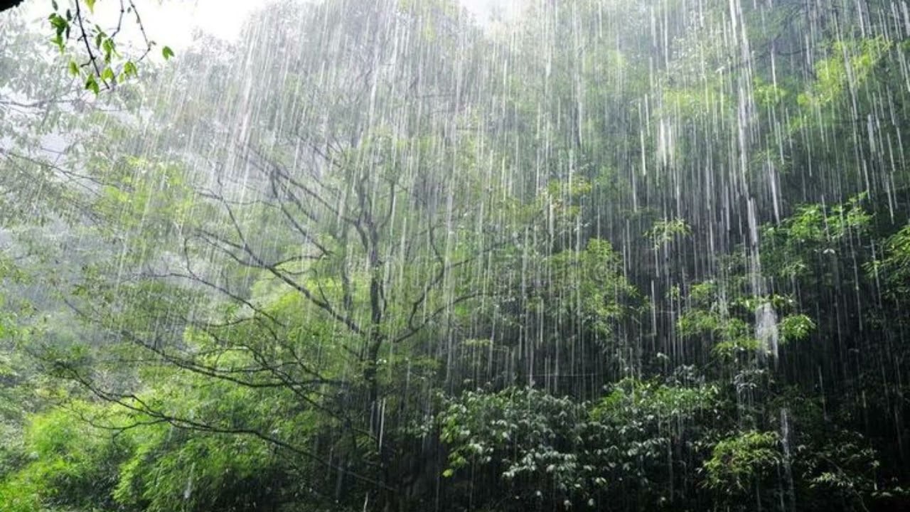 ☕🌧️ Rainy Jazz Café | Cozy Lofi Jazz & Smooth Background Music for Focus & Relaxation