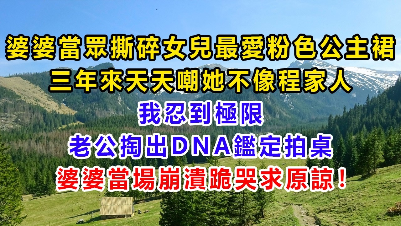 婆婆當眾撕碎女兒最愛粉色公主裙，三年來天天嘲她不像程家人；我忍到極限，老公掏出DNA鑑定拍桌，婆婆當場崩潰跪哭求原諒！