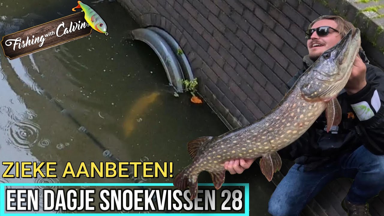 ZIEKE AANBETEN IN AMSTERDAM! - Een dagje snoekvissen 28