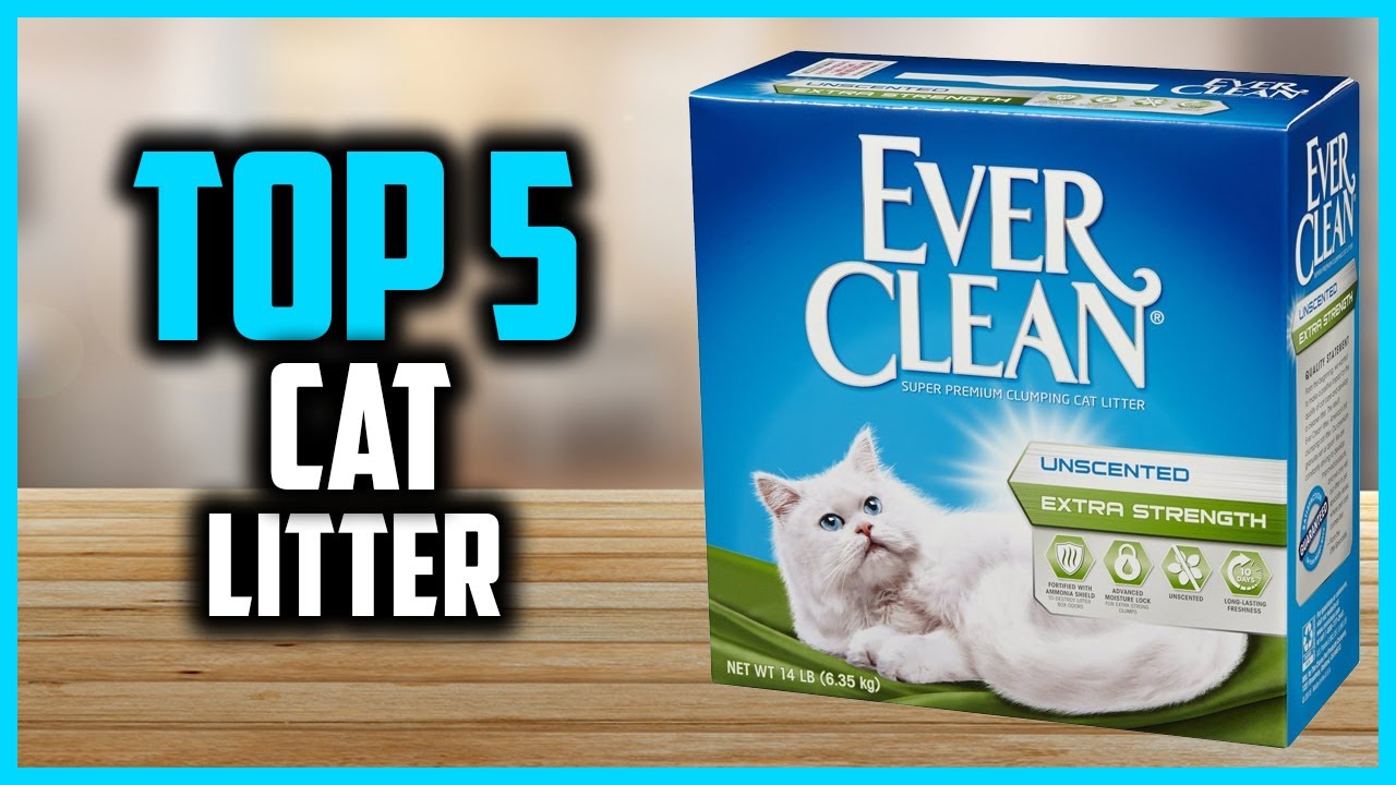 ✅ Top 5 Best Cat Litter of 2025
