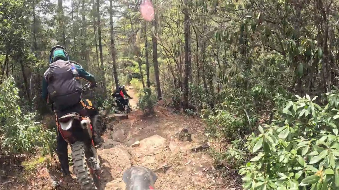 Rescue Ride dropping down towards Haa valley from Chalela