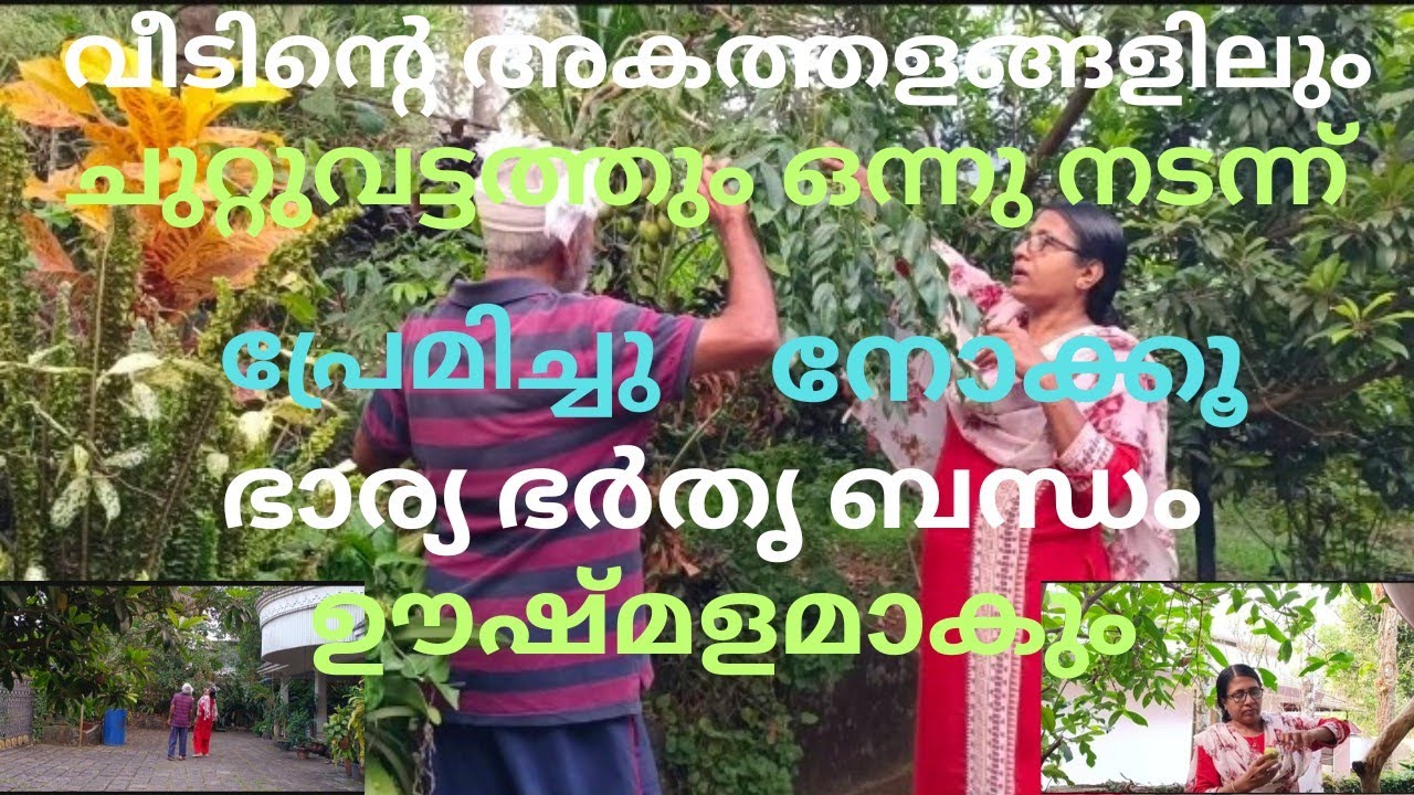 വീടിന്റെ അകത്തളങ്ങളിലും ചുറ്റുവട്ടത്തും നടന്നൊന്ന് പ്രേമിച്ചു നോക്കൂ ഭാര്യഭർതൃ ബന്ധം ഊഷ്മളമാകും!