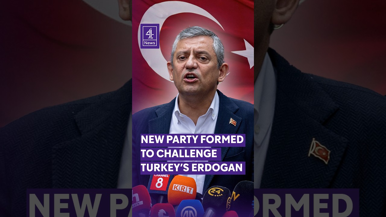 New Party formed to challeng Turkey's Erdoğan