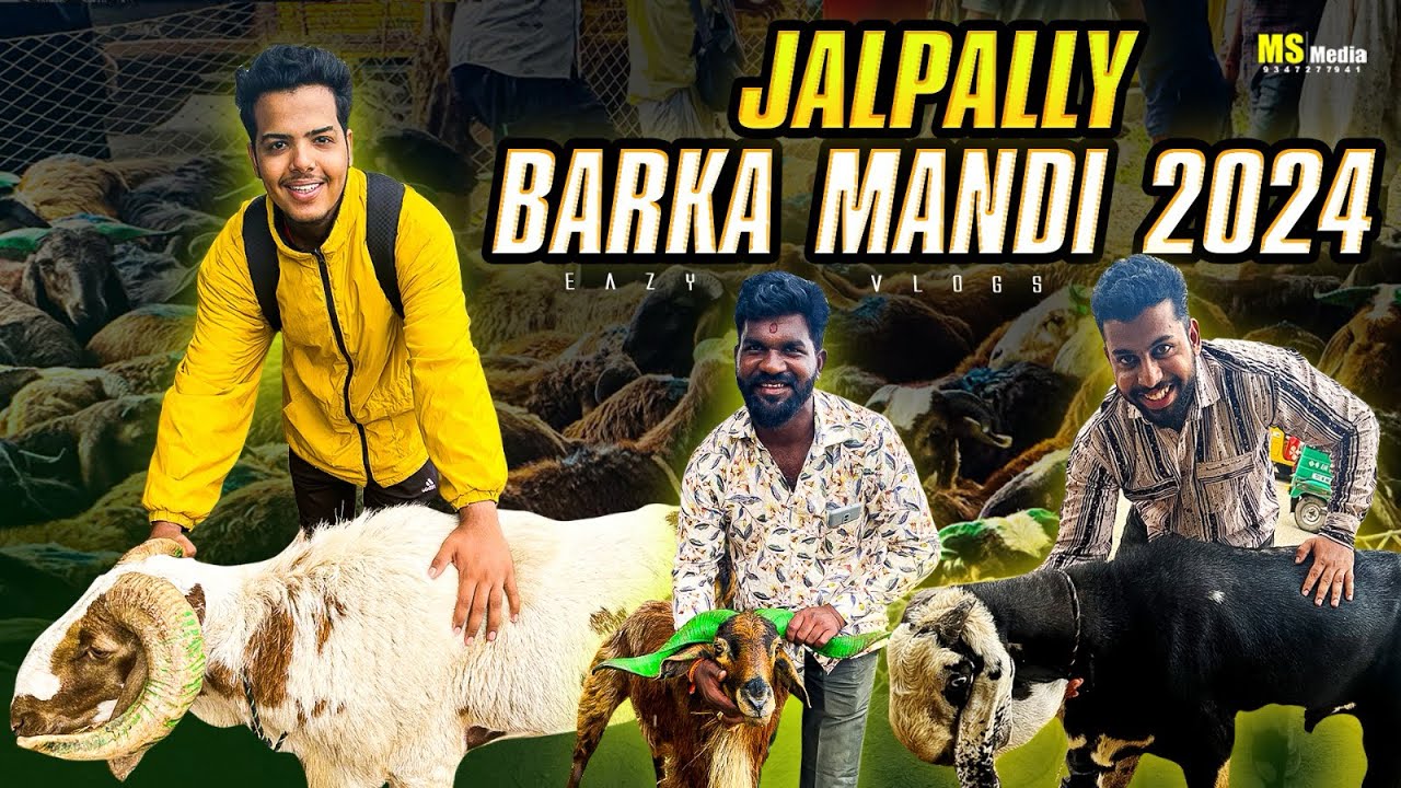 JALPALLY BAKRA MANDI 😳 ITNE SASTE BAKRE || MUST VISIT LIMITED TIME OFFER🔥