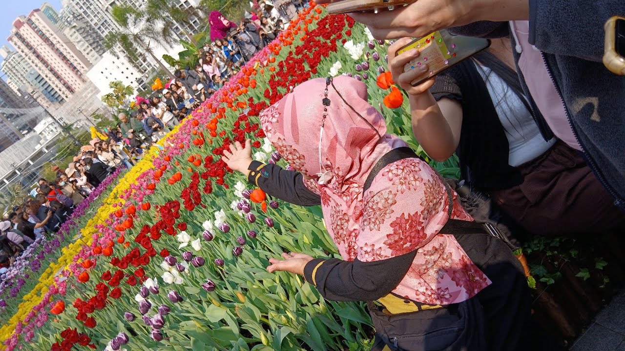 Part 1 vlog tkw flower show hongkong 2025 #vlogtkwhongkong #flowershow2025