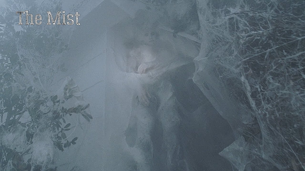 The Mist: Traveling in the fog. Come home and see a spider cocoon instead of a wife