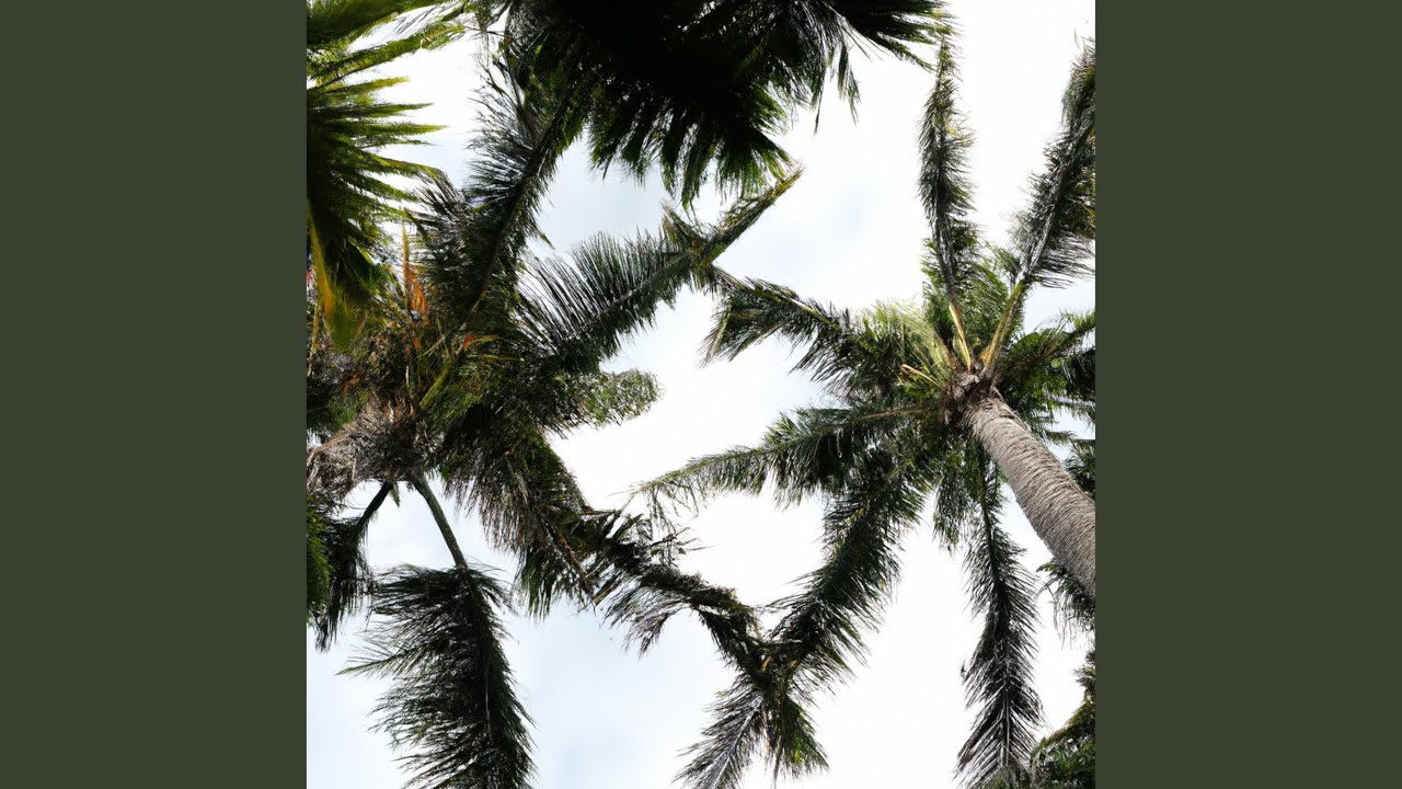 Palm Shade Dreams