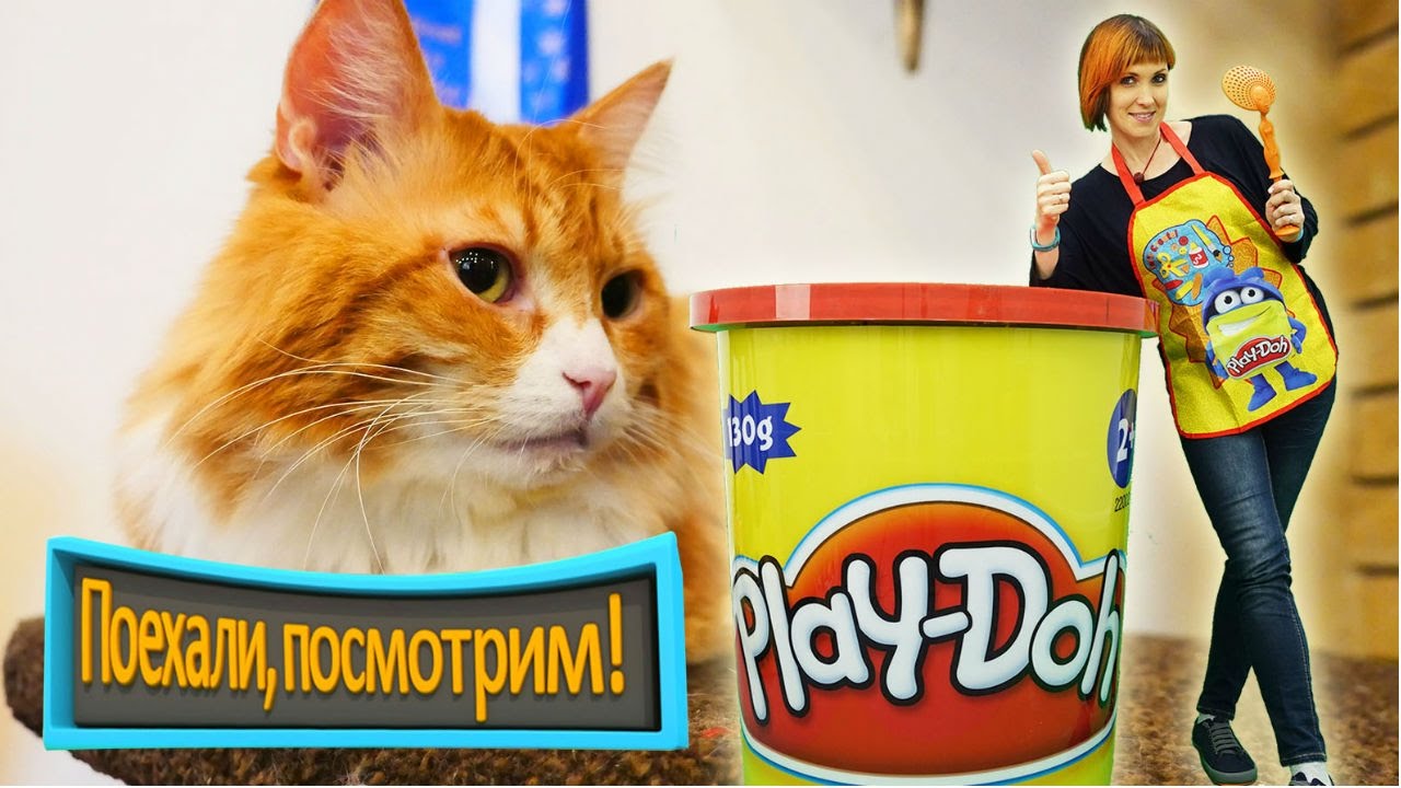 КОТИКИ, Маша Капуки и Плей До - Кошачье кафе Поехали Посмотрим! Развивающее видео для детей