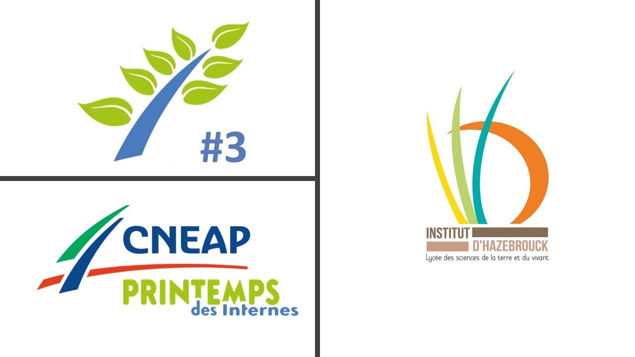 Le Printemps des Internes #3 à l'Institut d'Hazebrouck