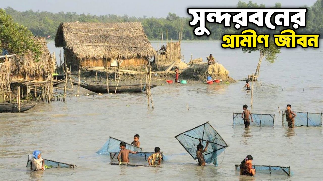 জলে জঙ্গলে সুন্দরবনের মানুষের অসহায় জীবন || Sundarban Village Lifestyle || Last Village Of India ||