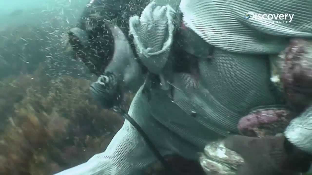 Abalone Wars 2 - One Dangerous Dive