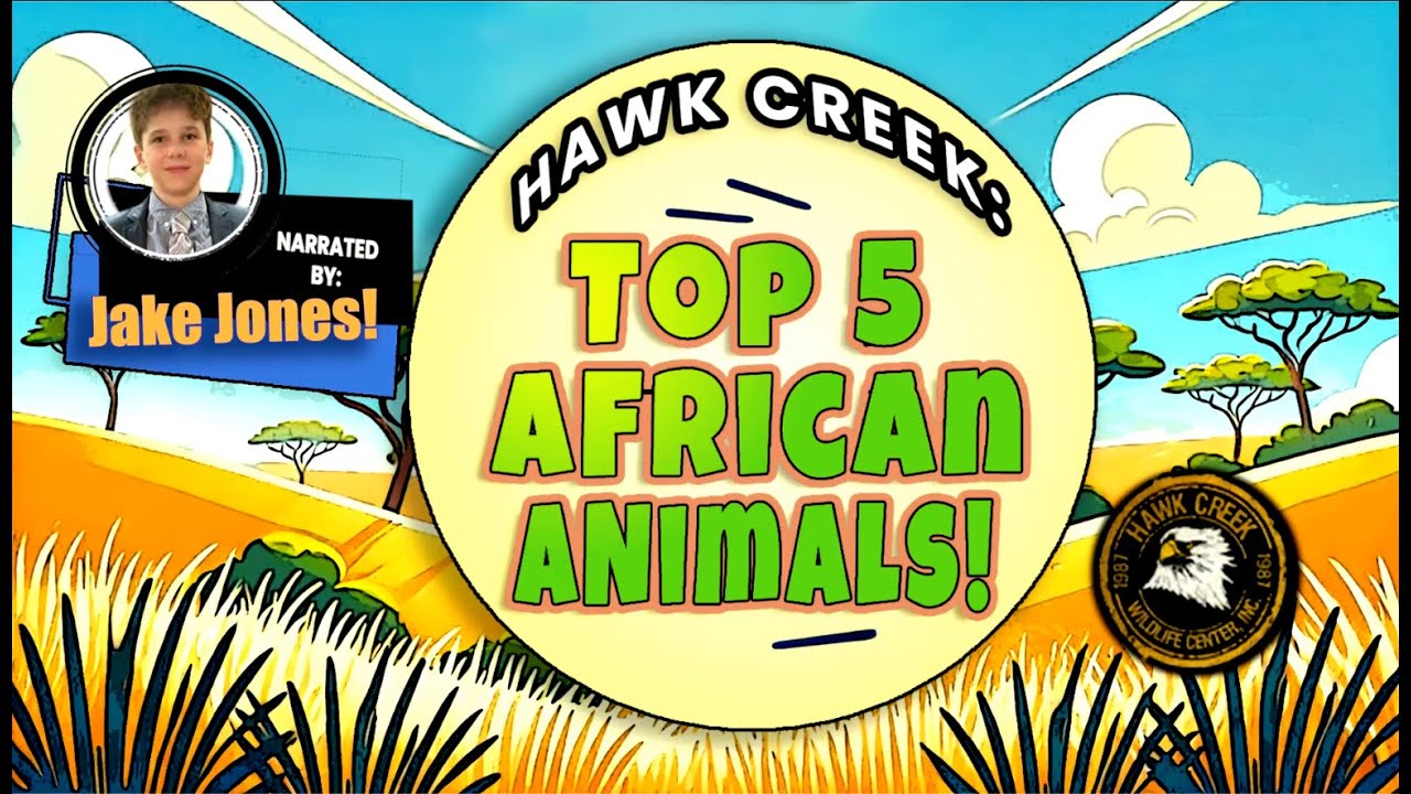 Hawk Creek TV: Top 5 African Animals