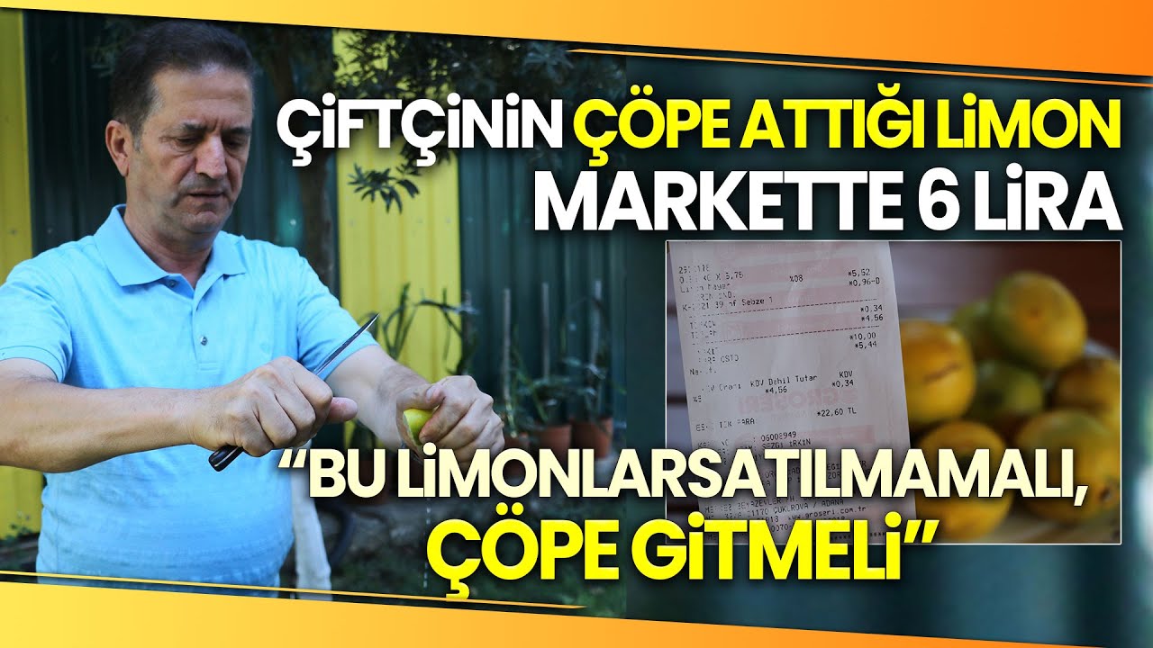 Çiftçinin Çöpe Attığı Iskarta Limon Marketlerde 6 Lira
