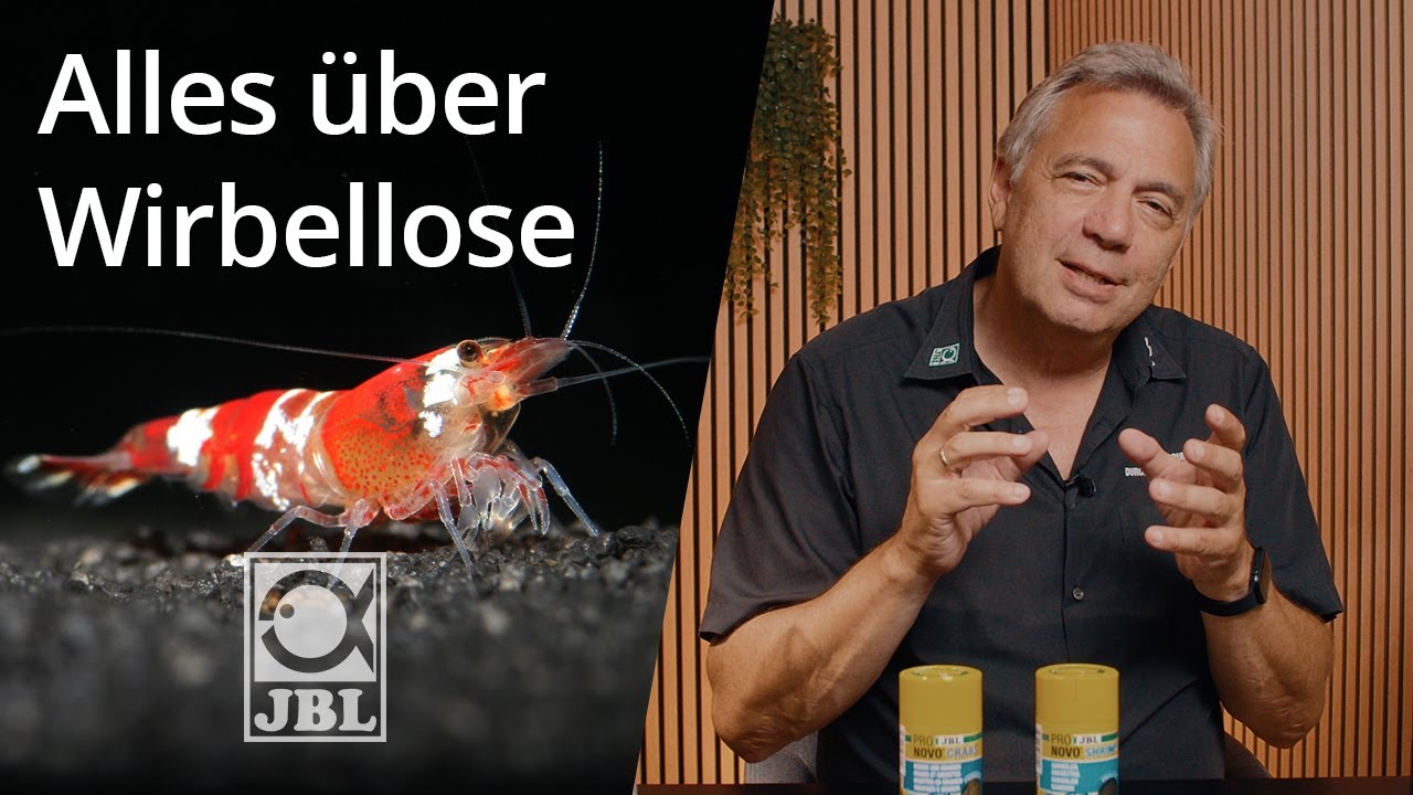 JBL TV #72 Garnelen & Krebse im Aquarium I Steckbrief