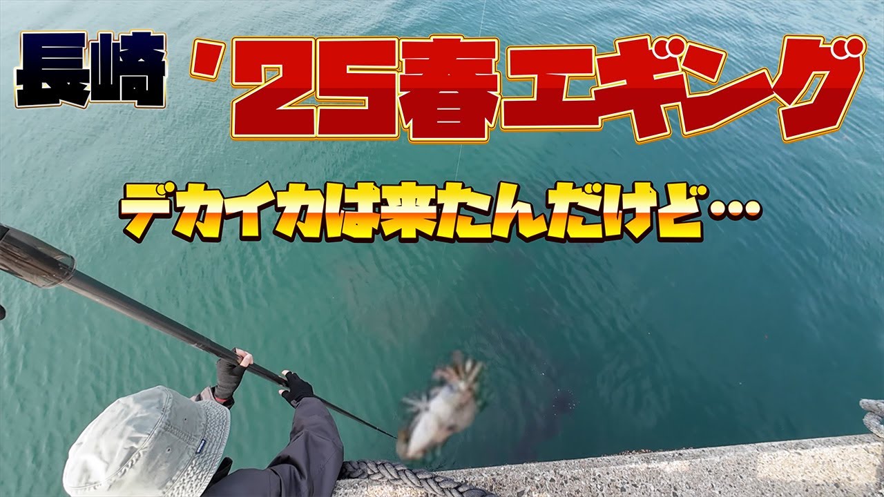 春のデカイカ来たけど…長崎春エギング2025