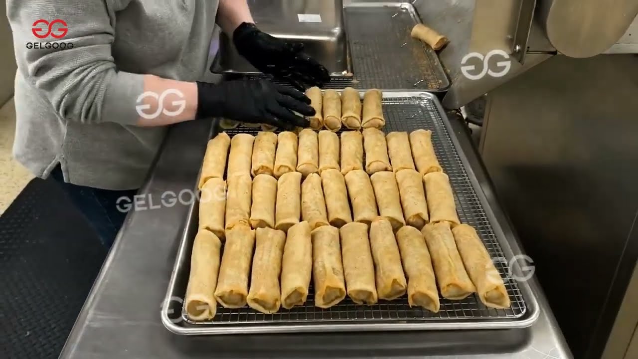 Automatic spring roll making machine project for America USA