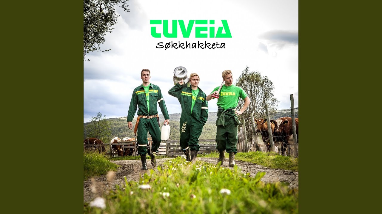 Søkkhakketa