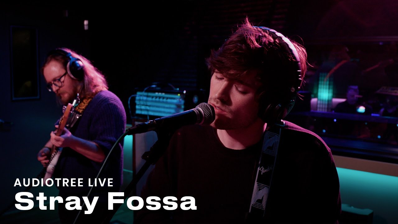 Stray Fossa - How Come? | Audiotree Live