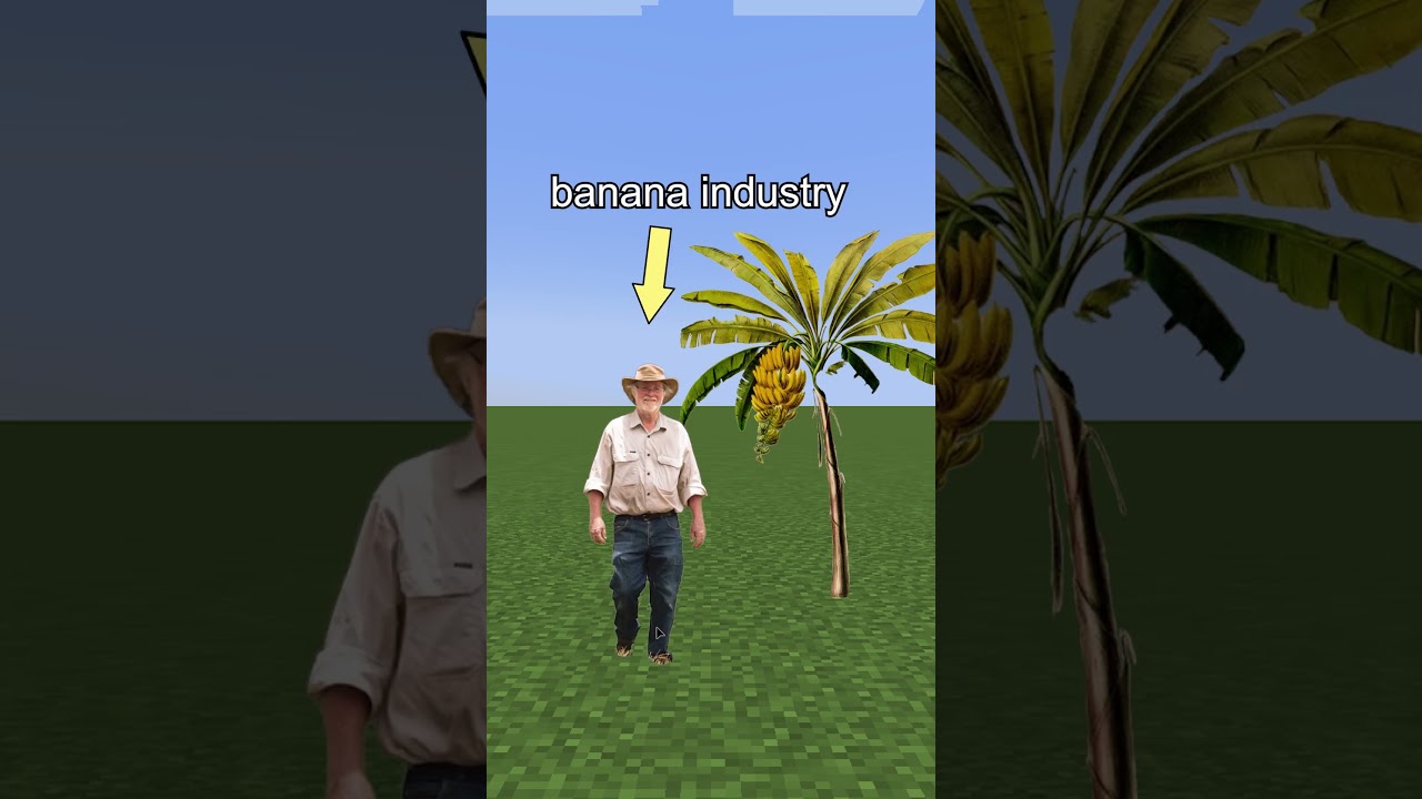 the banana that *used* to rule the world