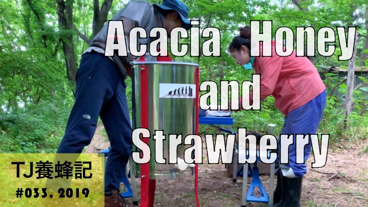 森のカフェですね アカシア蜜 6月 （Acacia Honey and Strawbery）
