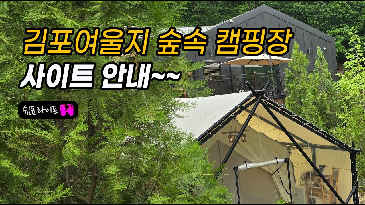 김포여울지 숲속 캠핑 사이트 소개(설명란에 챕터를 클릭하면 원하시는 사이트설명으로 이동) /#서울근교캠핑장 #김포여울지숲속캠핑장 #숲속캠핑