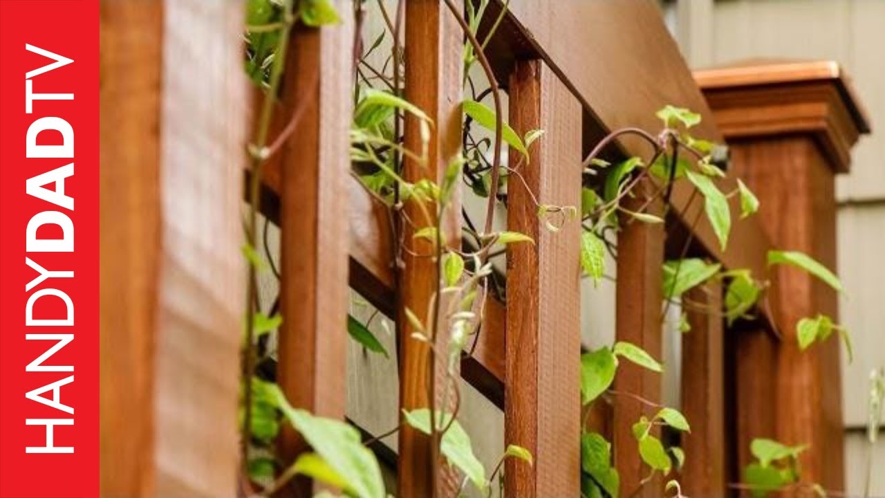 Build a DIY Trellis in a Weekend