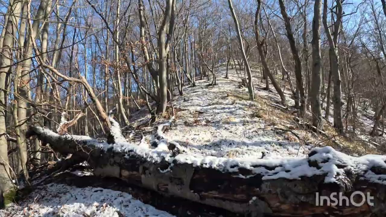 Hans Dommer Weg im Winter 🥾