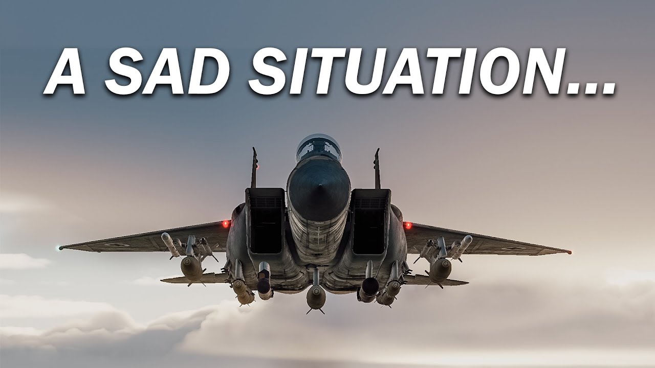 Why I STOPPED Flying Razbam Modules in DCS