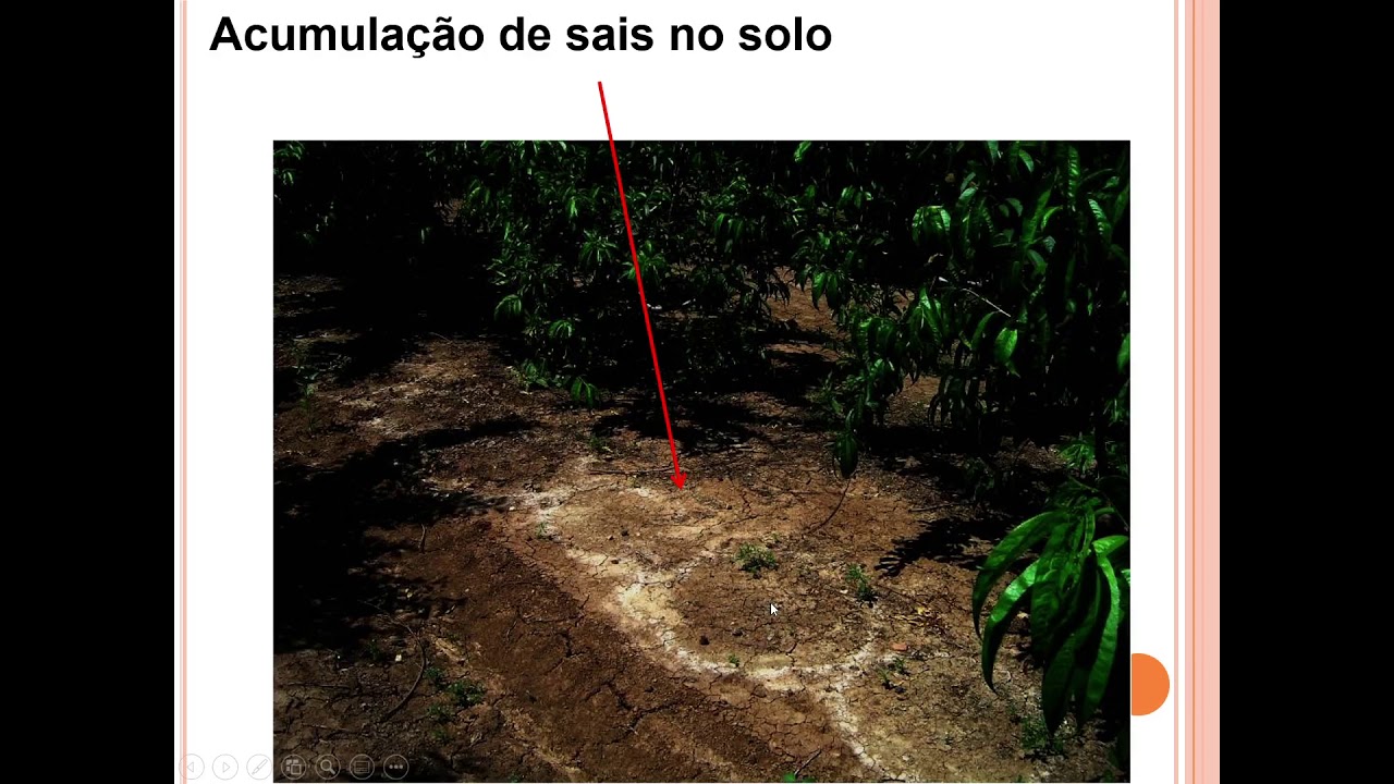 Qualidade da água para irrigação - Parte 1