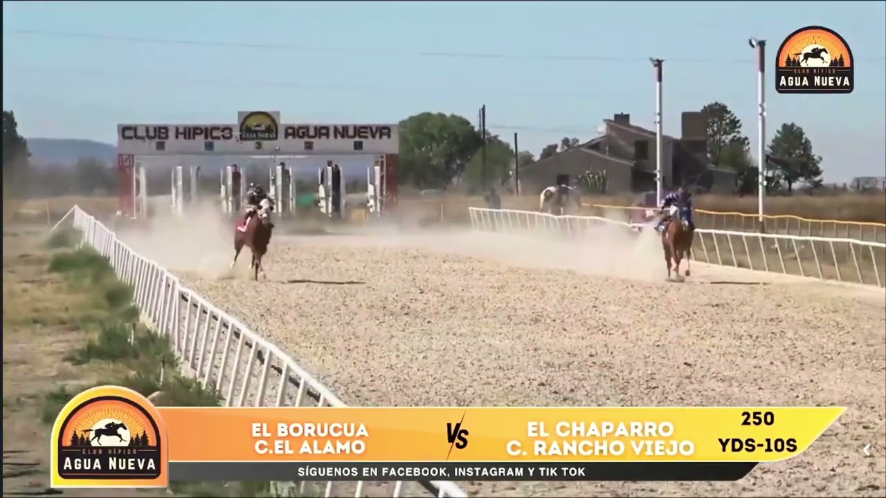 El Chaparro C. Rancho Viejo vs El Boruca C. Alamo - 250 Yds - Club Hipico Agua Nueva.
