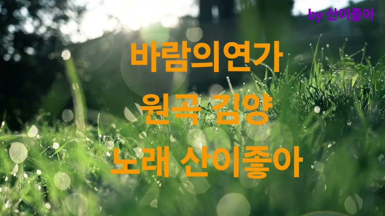 #바람의연가#김양#산이좋아#트로트