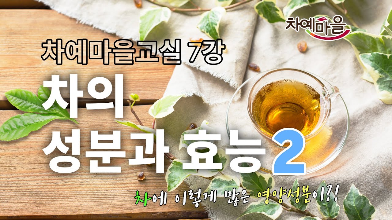 차의 성분과 효능, 비타민, 엽록소등 1탄에서 소개되지 않았던 새로운 성분들이 이만큼이나!? ｜차예마을교실 제 7-2강