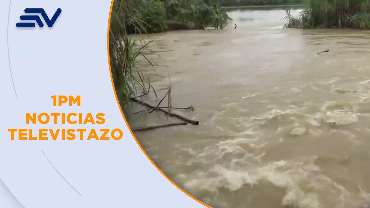 Montalvo Los Ríos: Corrales de cerdos, patos y gallinas quedaron destruídos | Televistazo | Ecuavisa