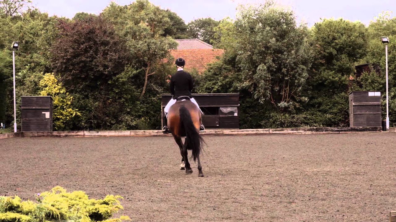 Elementary 53 74.7% Charlotte Currer, Midnight Illusion (Murphy!)
