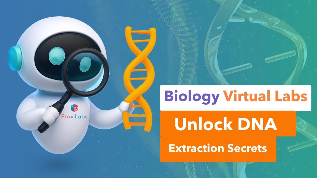The Study of Molecular Biology | Explore Biology & Chemistry Virtual Labs