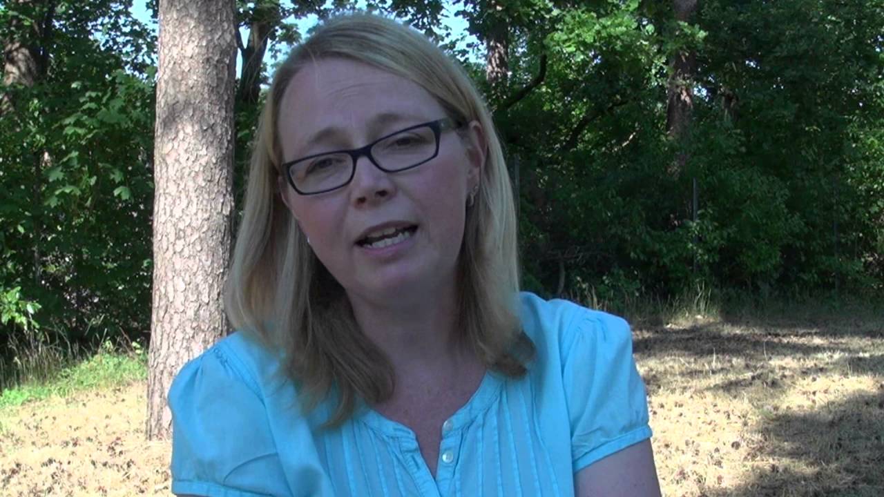 Eingangsstufe der Albert-Schweitzer-Schule in Gifhorn (Der Film full-HD)