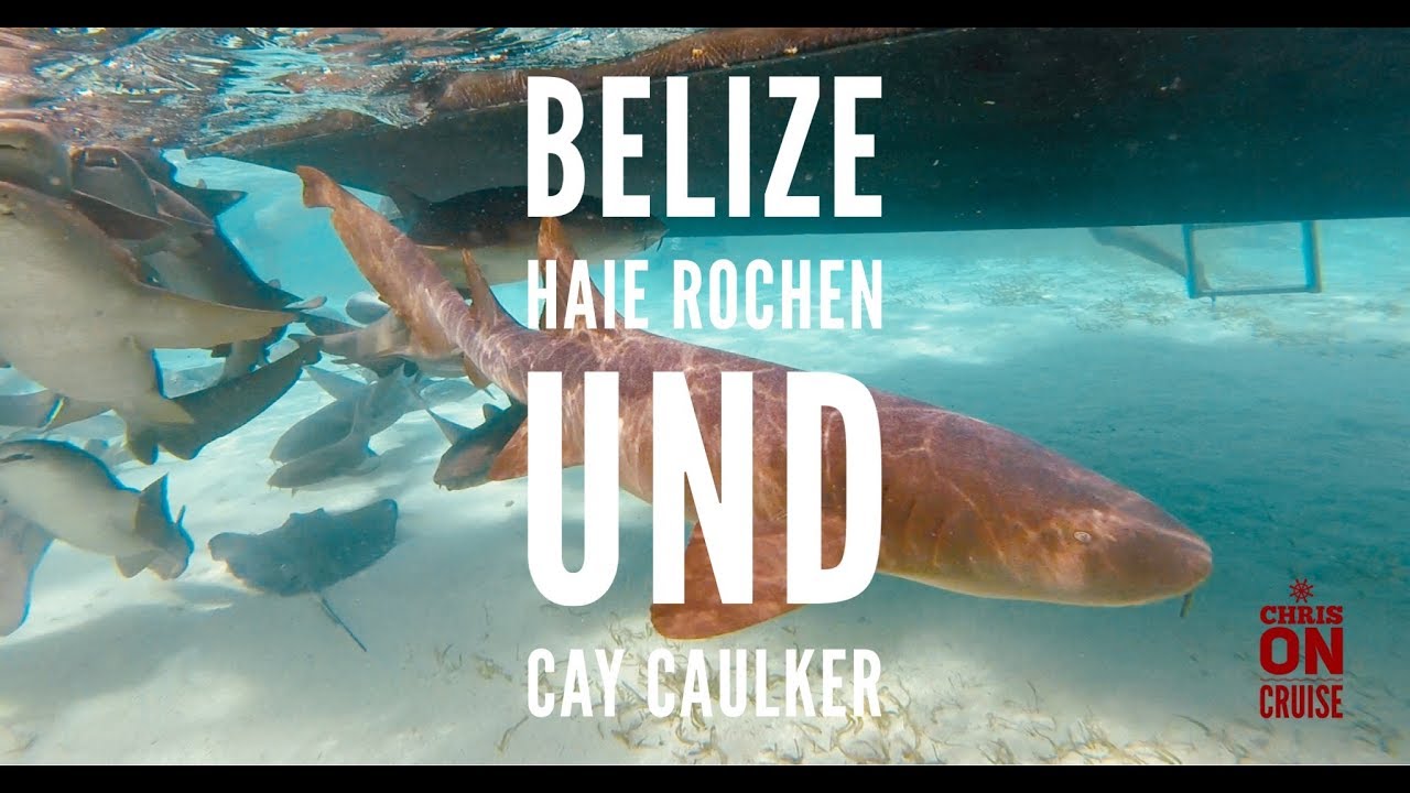 Chris on Cruise… Belize, Haie, Rochen und Cay Caulker, Karibik-Mittelamerikakreuzfahrt