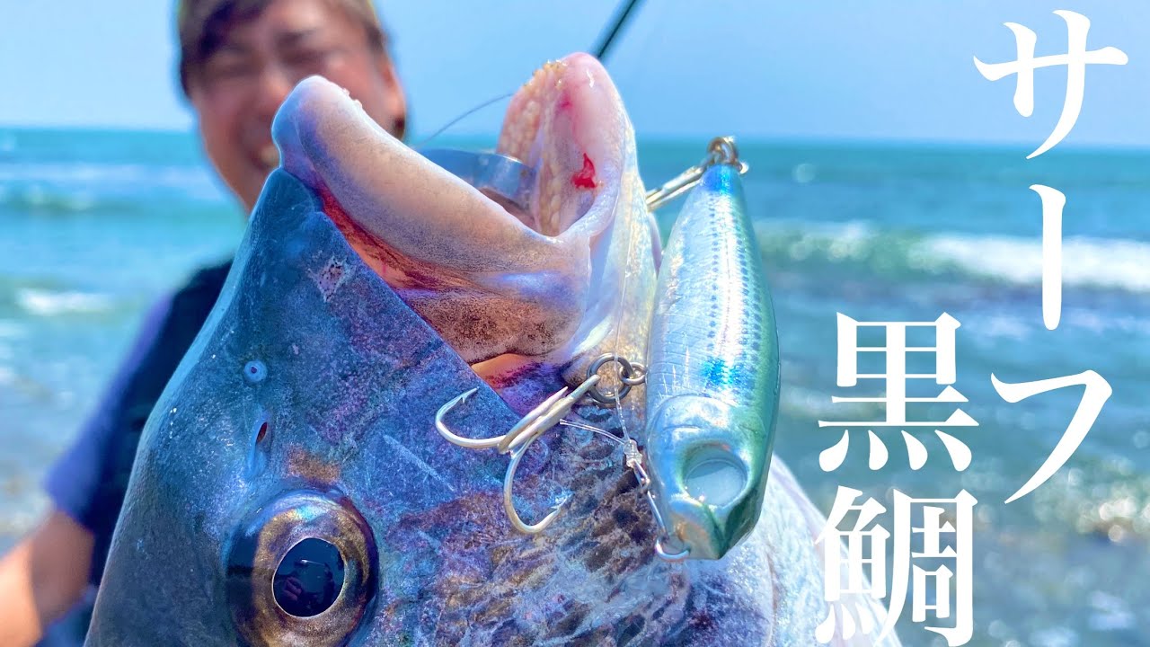 【サーフチヌ】クロダイ用ポッパーとペンシルでボコボコ