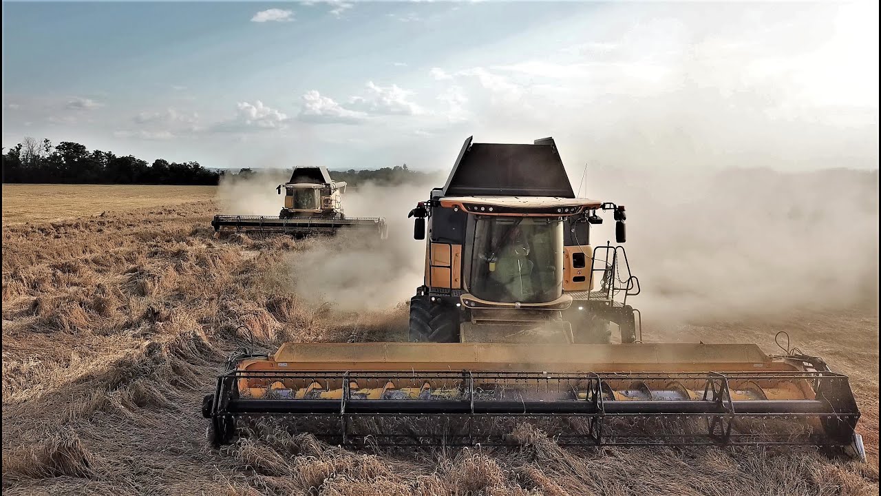 Harvest + Silage in Czech -Season 2020