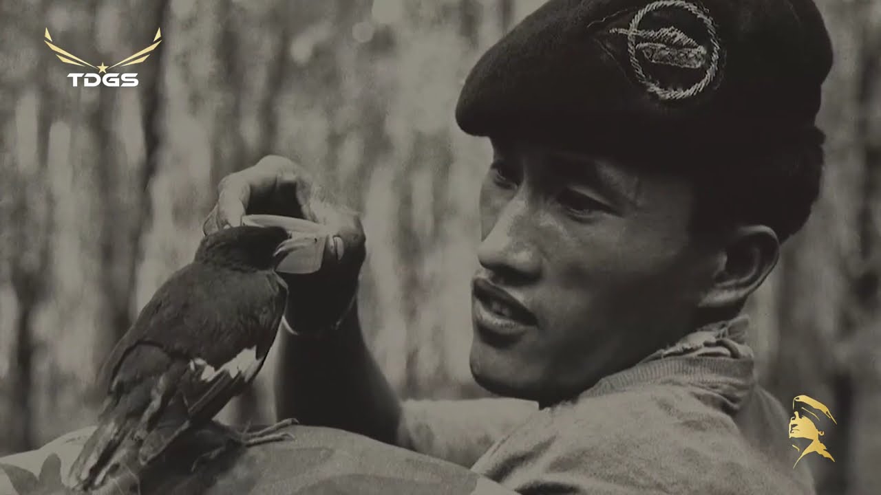 Tình Sử Một Dòng Sông – Tuyết Linh | St: Đài Phương Trang - Nhạc Vàng Bất Hủ Trước 1975