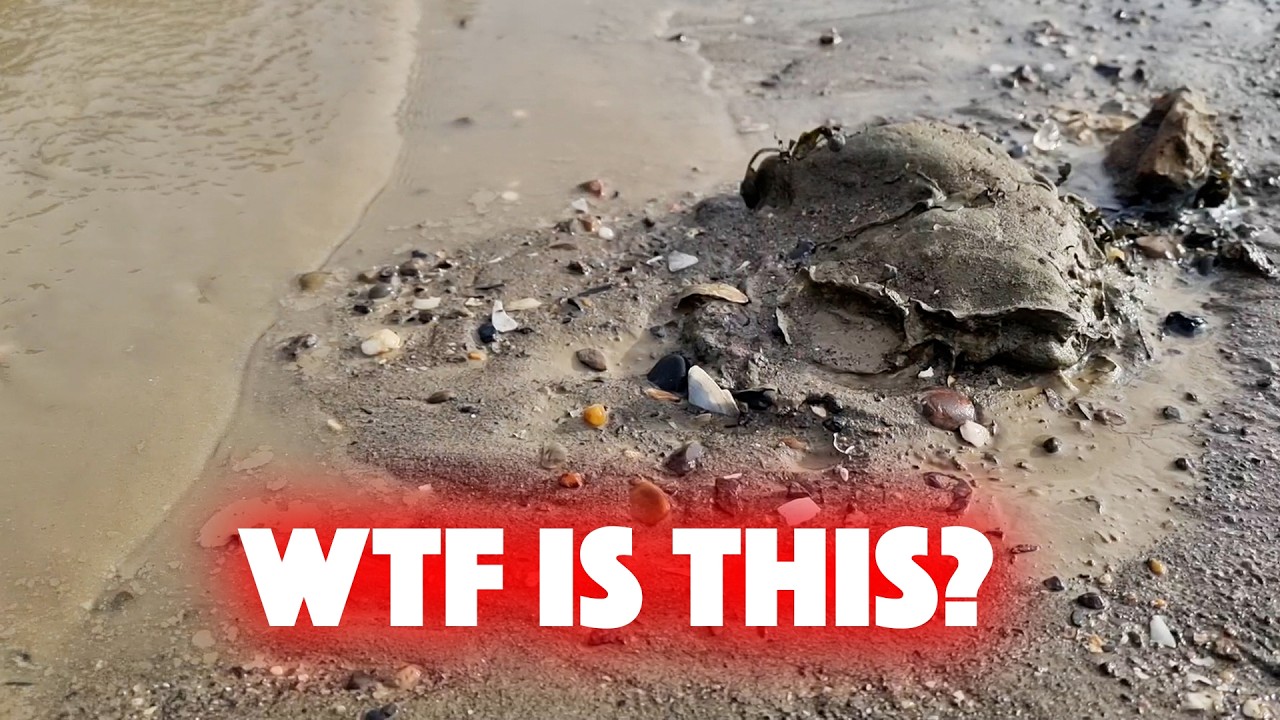 FREAKY Finds on the Thames Foreshore