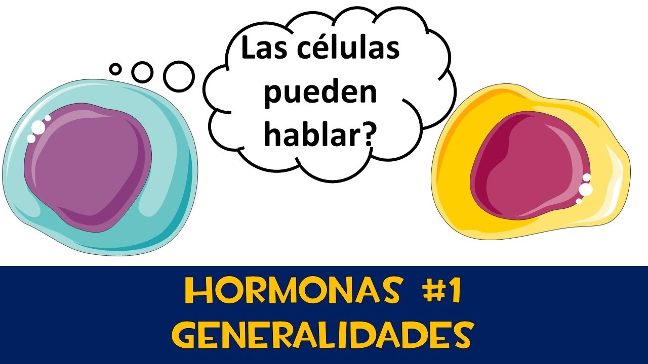 Hormonas #1 📨 Generalidades