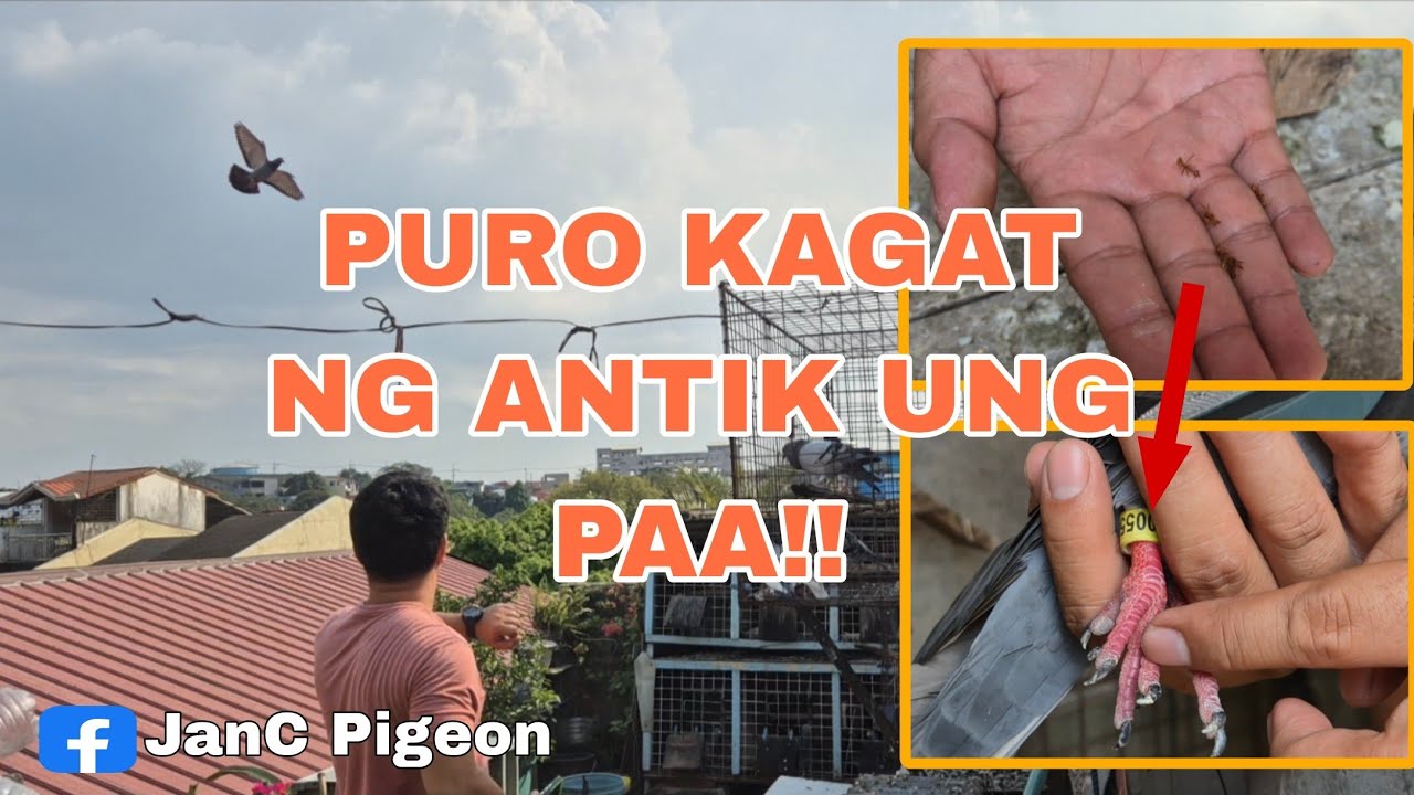 5th Lap 411km MATNOG SORSOGON | HARD RACE SOBRA INIT