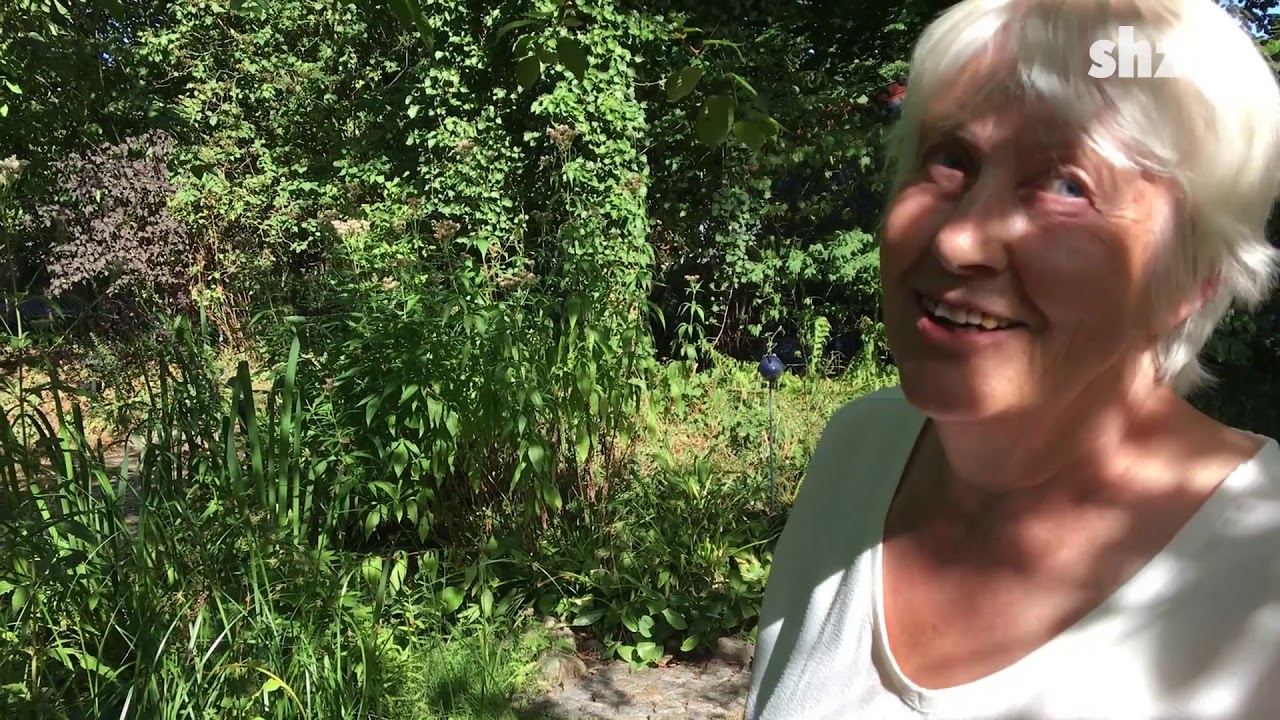 Rehe im Garten &ndash; was tun?